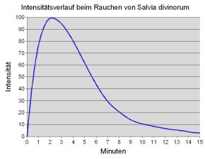 Wirkungskurve beim Rauchen von Salvia divinorum