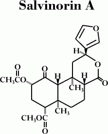 Salvinorin A